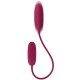 Vibrating Love Egg Duo