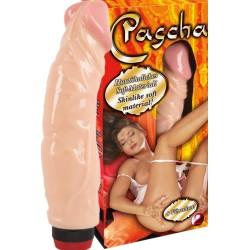 Pasha Vibrator