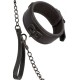 Nocturnal Collar & Leash