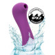 Dual Pleasure Wand