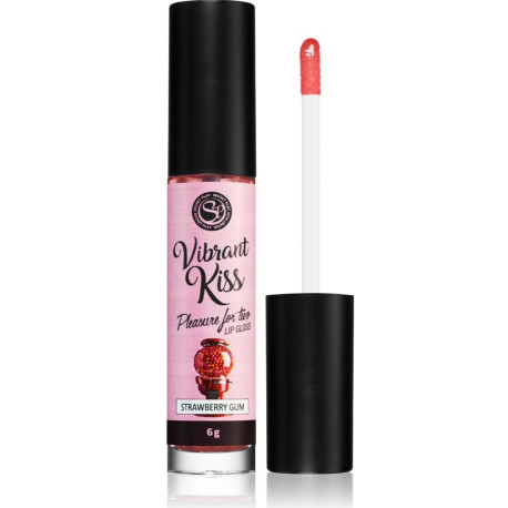 Lip Gloss Vibrant Kiss