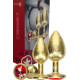Metal Anal Plug Set – Gold