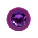 Jewel Purple Plug Medium