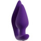 RC 2 in 1 Plug & Panty Vibe