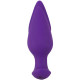 RC 2 in 1 Plug & Panty Vibe