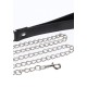 Elegant Collar and Chain Leash