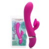 Foreplay Frenzy Climaxer