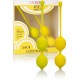 Kegel Training Set