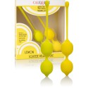 Kegel Training Set