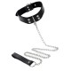 Elegant Collar and Chain Leash