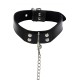 Elegant Collar and Chain Leash