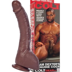 COLT Adam Dexter's Genuine Cock