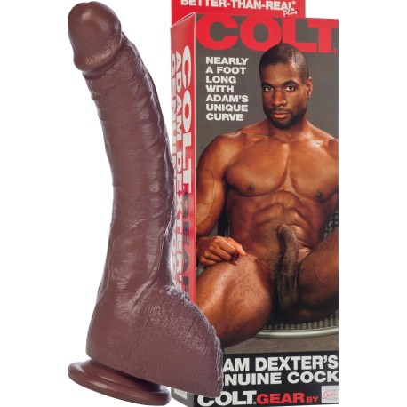 COLT Adam Dexter's Genuine Cock